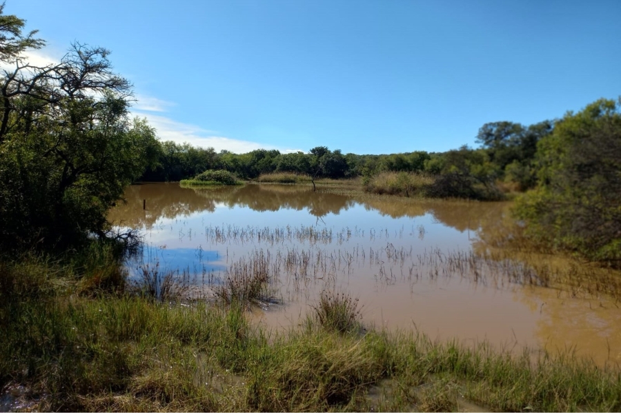 0 Bedroom Property for Sale in Koster North West